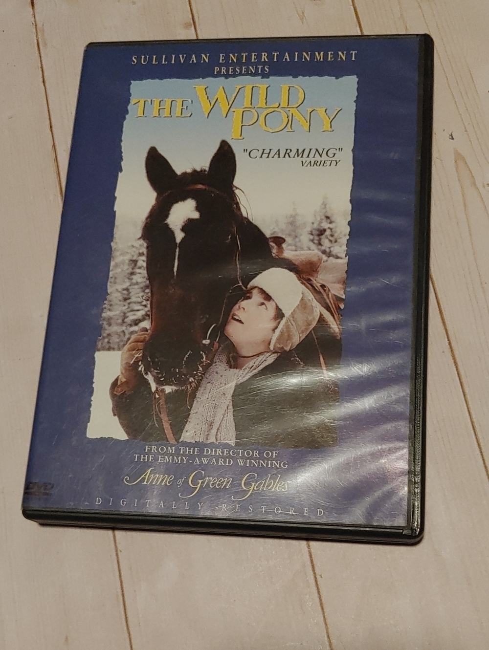 The Wild Pony Charming DVD Family Movie